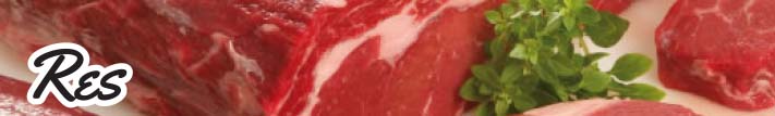 Carne de Res